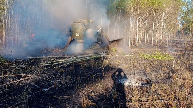 Вооруженные силы привлечены к тушению пожаров в Абайской области