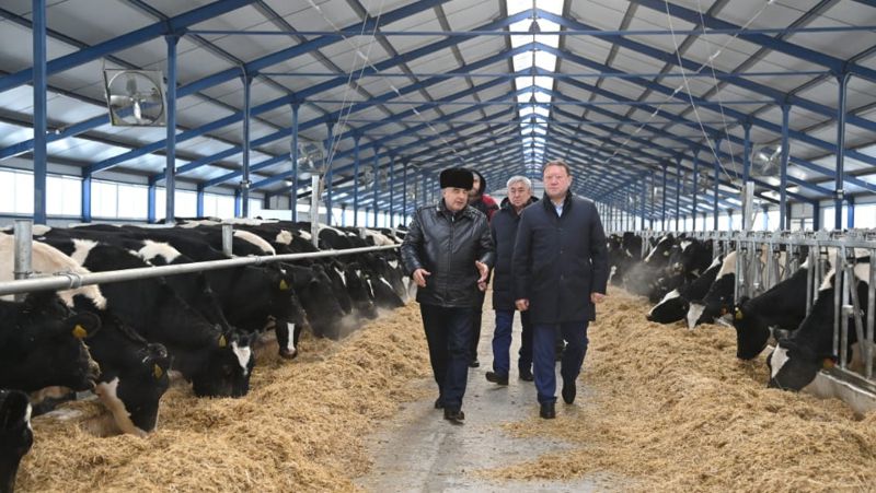 Обеспечит молоком 30 тыс. человек