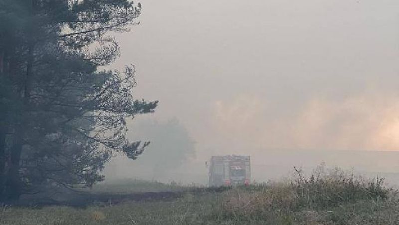 дым в лесу Костанайская область пожары экологи воздух