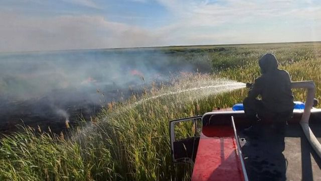 Пожар в Абайской области Пожар в Абайской области полностью потушен