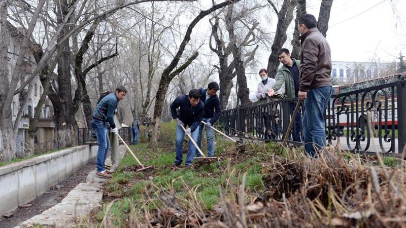 Почти 5 тысяч деревьев высадят в рамках общегородского субботника Almaty Clean & Green