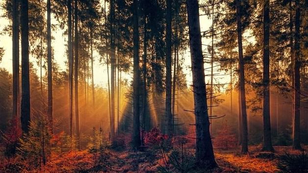 Ауа райы болжамы Ауа райы болжамы, 19 қыркүйек
