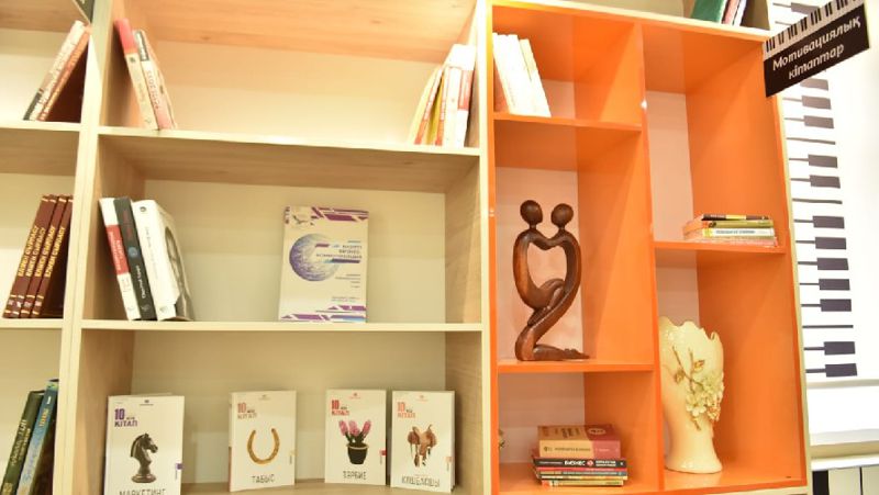 библиотека книги, чтение, система