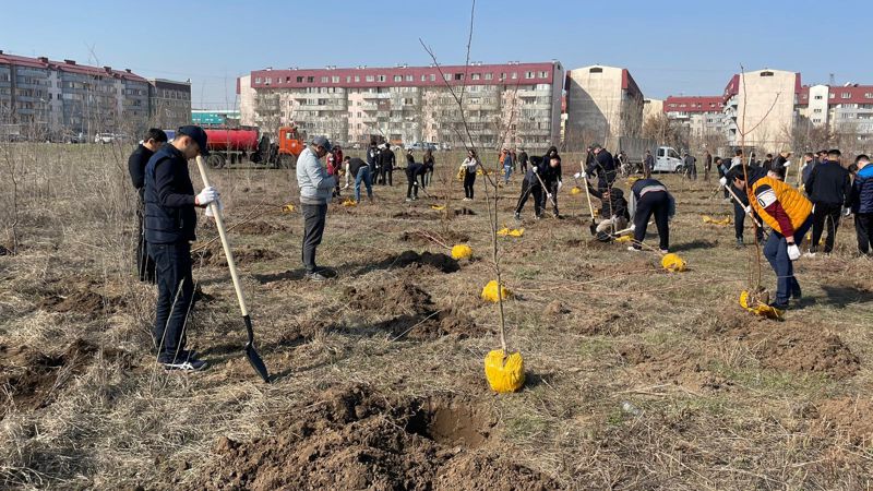 Алматы, ағаш егу Көктемде Алматыда 10 мың ағаш егіледі