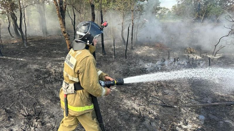 Крупный пожар в заповеднике Костанайской области потушили