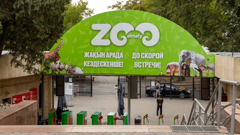 Виктор Цой в Алматинском зоопарке: неизвестная история