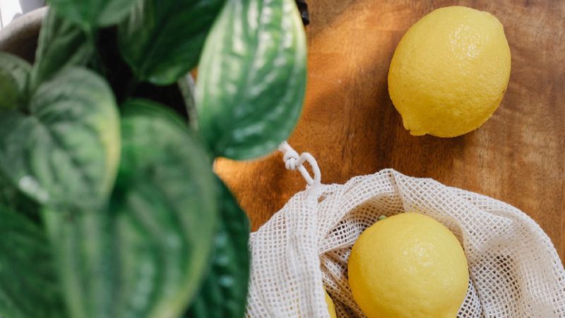 Диетолог лимонның ерекше қасиеті туралы айтты