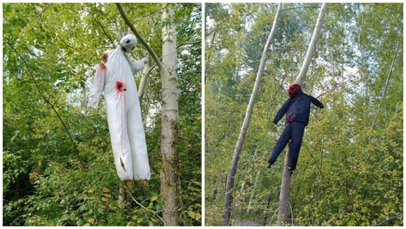 Окровавленные человеческие чучела на деревьях напугали жителей Усть-Каменогорска