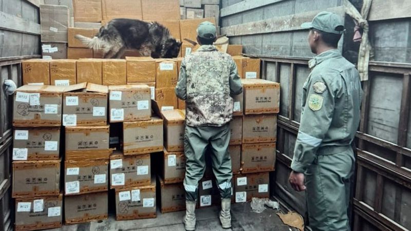 КНБ Крупную партию сигарет пытались незаконно вывезти из Казахстана