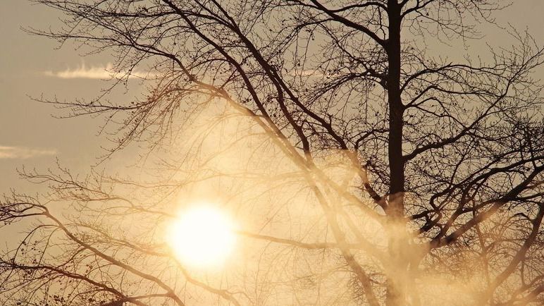 Қызылорда және Түркістан облыстарында дауылды ескерту жарияланды Қолайсыз ауа райы