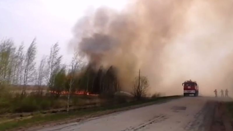 Лесные пожары захватили российский регион - в Курганской области ввели режим ЧС 