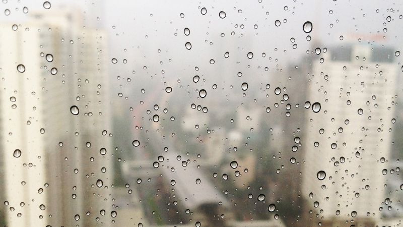 Дождливая погода ждет жителей столицы и Алматы 