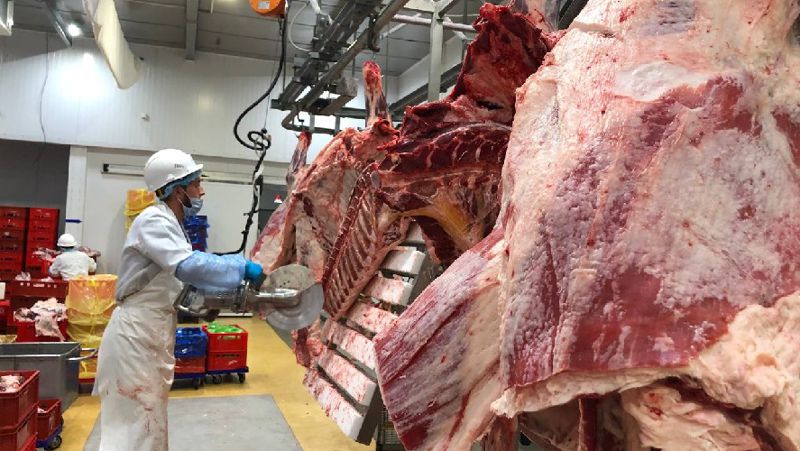 Казахстанское мясо начнут экспортировать в Саудовскую Аравию