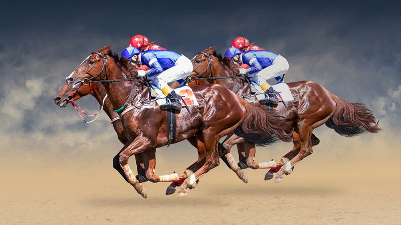 Лошадиные силы: ключевые даты из истории конного спорта