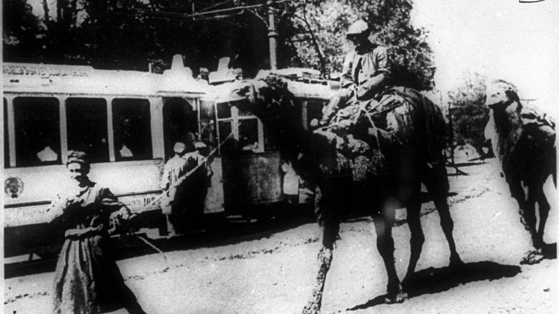 Фото 13-а верблюды соревнуются с трамваем в Алма-Ате, 1937 г.