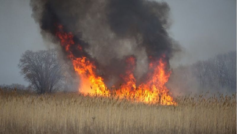 Өрт Жетісу облысы, қоқыс полигоны, өрт