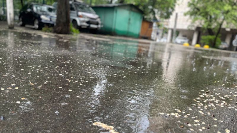 лужа ливень в Алматы
