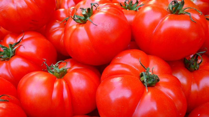 Россия сняла запрет на ввоз помидоров из Казахстана 