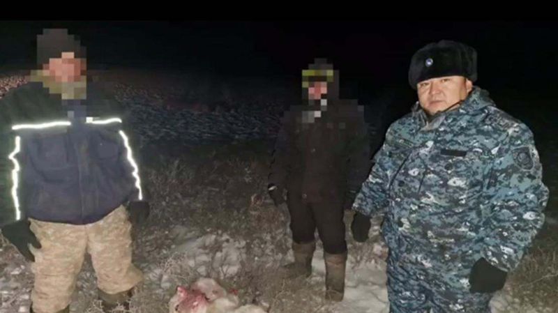 Күдіктілер мен полицей Жамбыл облысы, ақбөкен, броконьер