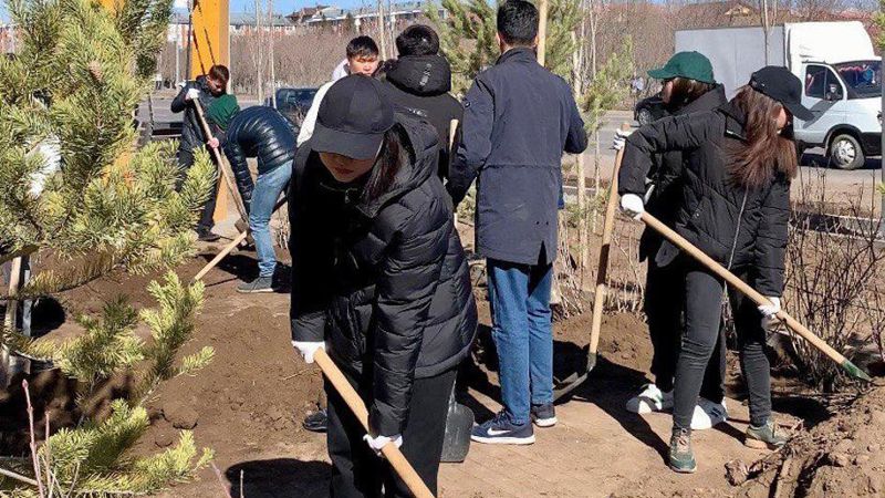 Миллион деревьев и кустарников высадят в текущем году в Астане