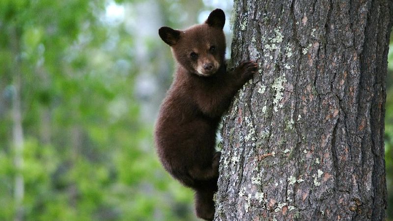 Коллекторы рассылают фото в соц сетях