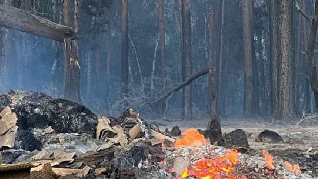 Крупные пожары в Костанайской области: виновным признан тракторист
