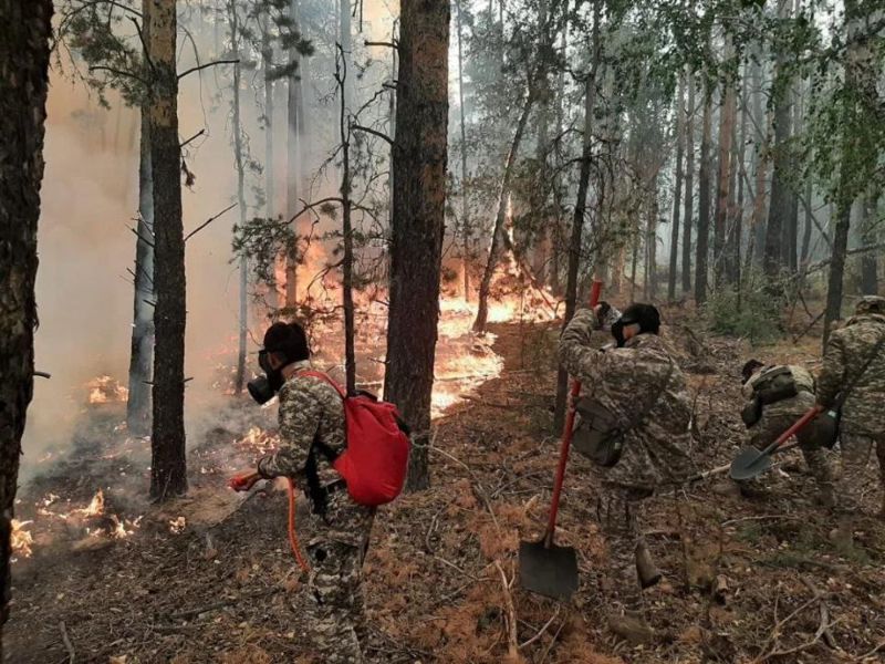 масштабы лесных пожаров в Абайской области