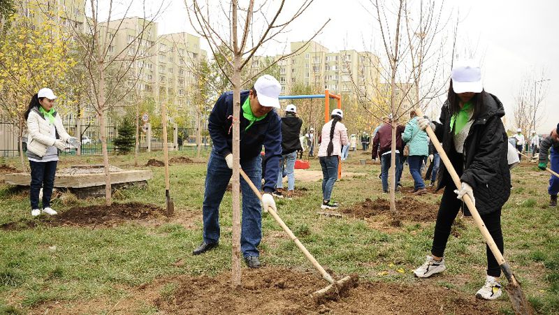 Проект экология двора