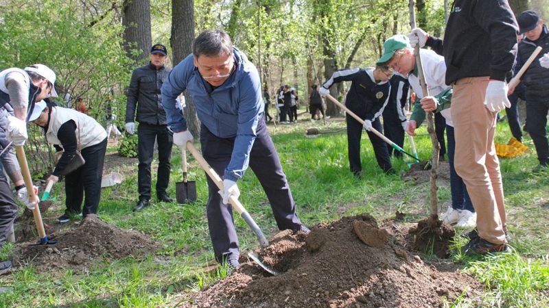 Ерболат Досаев на субботнике в Алматы На общегородском субботнике в Алматы собрано 15 тысяч кубометров мусора и высажено 5 тысяч деревьев