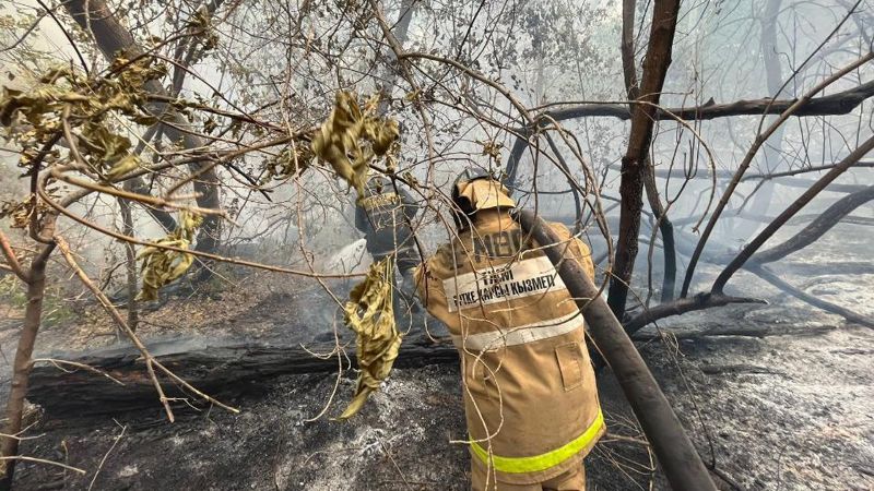 Площадь лесного пожара в Абайской области увеличилась до 30 тыс. га