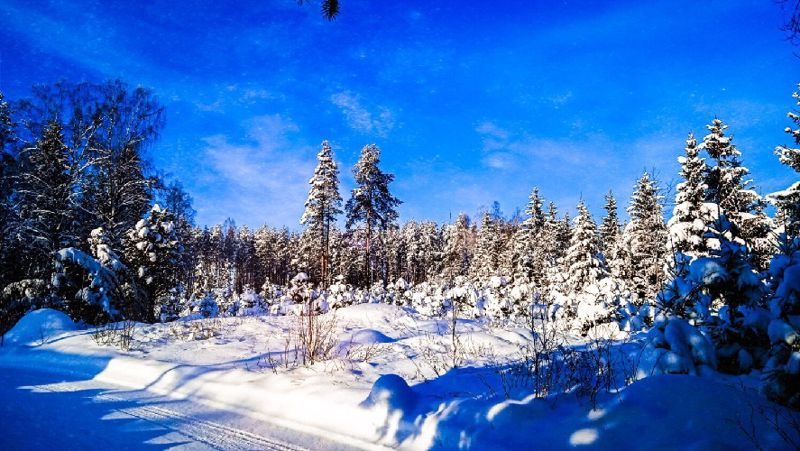 снег мороз, погода, температура
