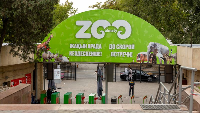Зоопарк Алматы меняет логотип и название