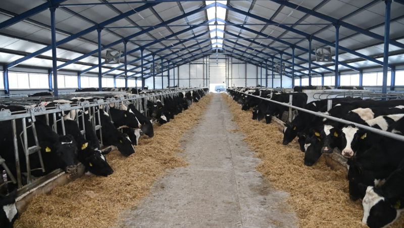 Обеспечит молоком 30 тыс. человек