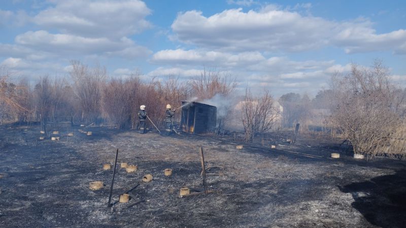 Пожар на дачном массиве в Павлодаре: огонь охватил 6 гектаров