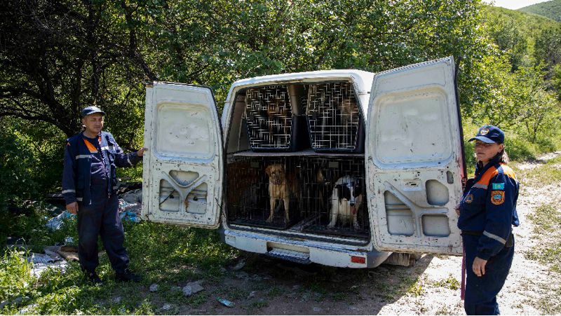 Собаки-спасатели, кинологи, Алматы