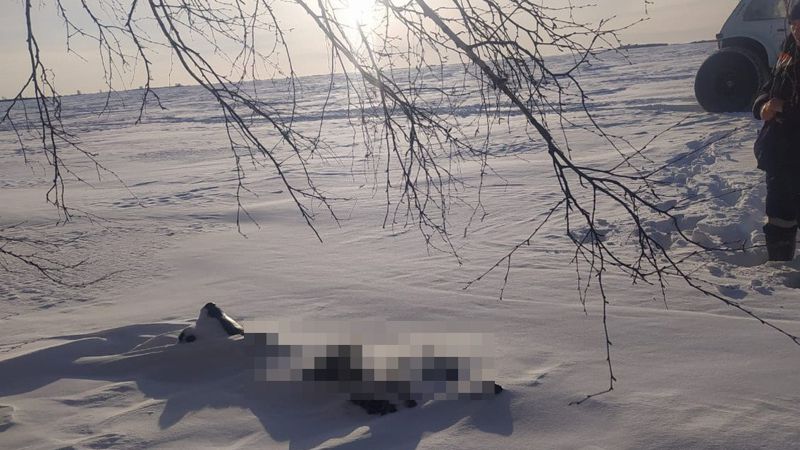 СҚО-да жоғалған балықшының денесі табылды Қайғылы оқиға