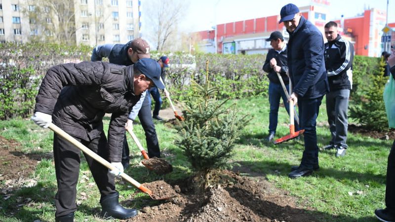 В Уральске высадили свыше двух тысяч деревьев