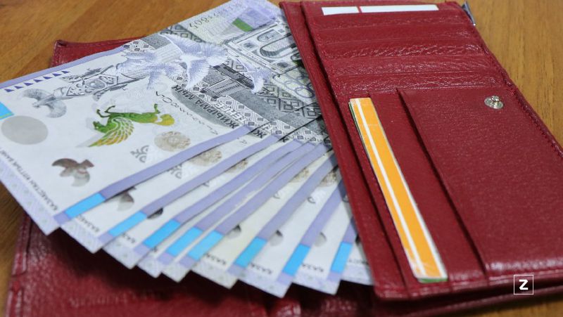 кошелек с деньгами казахстанцы, доходы, выравнивание, правительство, планы, программа