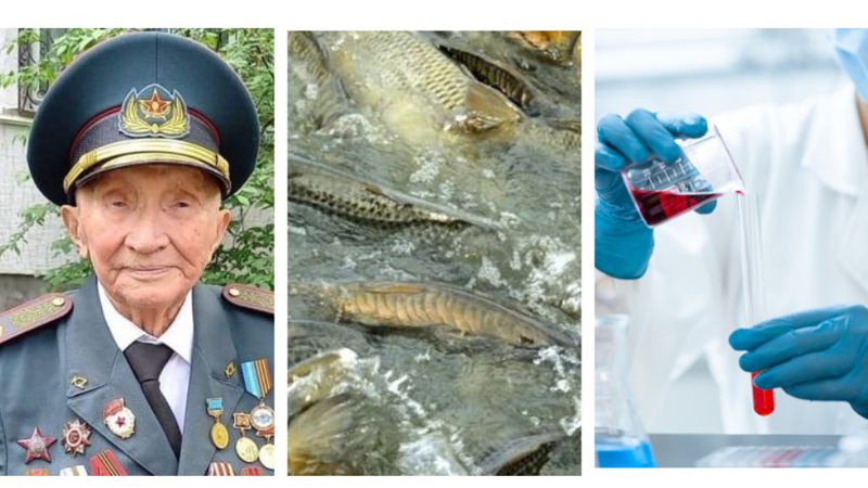 Главное к утру: скончался последний панфиловец, причины замора рыбы и сибирская язва в Акмолинчкой области 