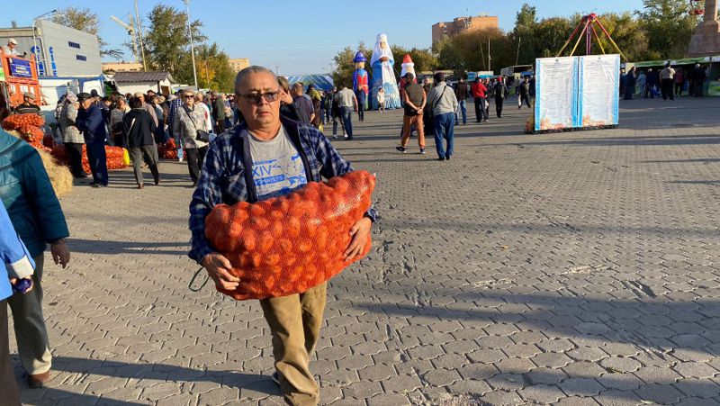 Обои в кокшетау цены и фото