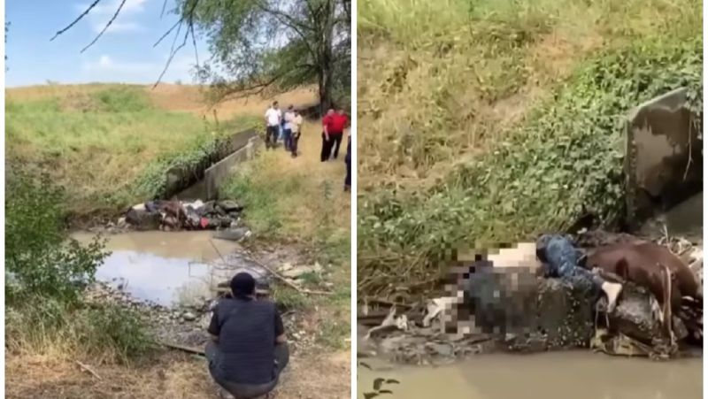 в Талгарском районе в русле водного канала близ села Енбекши обнаружено тело всадника с лошадью
