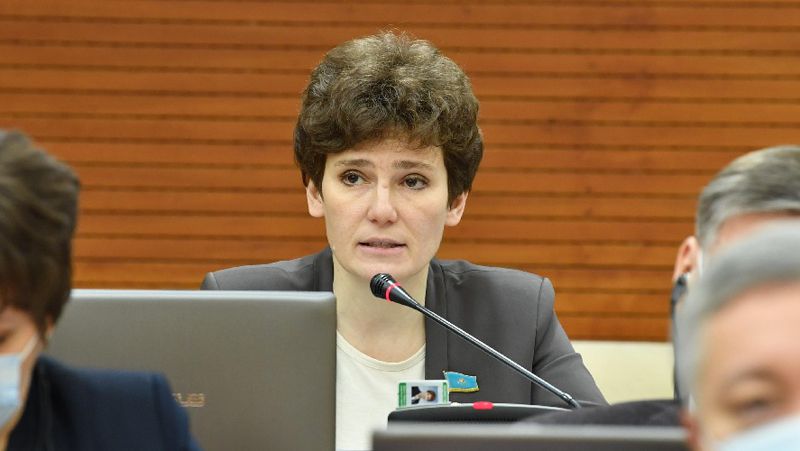Екатерина Смышляева депутат запрос