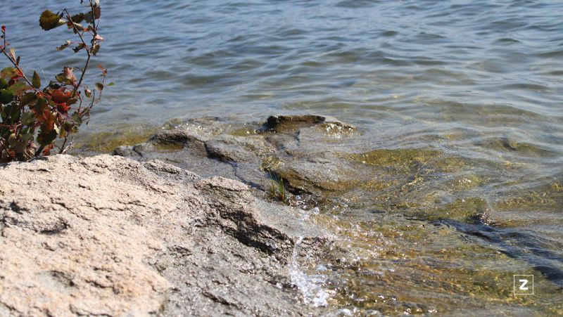 Вода Вода, водные ресурсы, экология