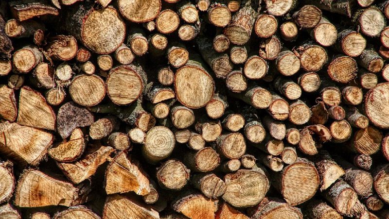 лесоматериалы запрет вывоз древесина