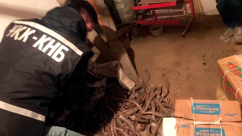 Больше 100 кг рогов сайги пытался продать житель Кызылординской области