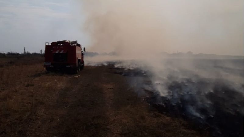 пожар сухостой