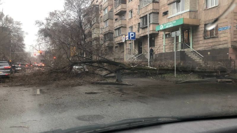 сильный ветер в Алматы