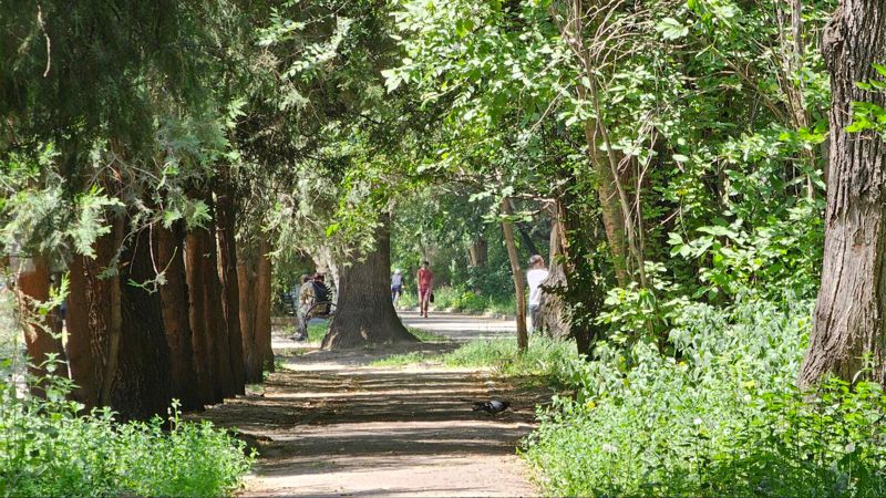 где бегать в Алматы