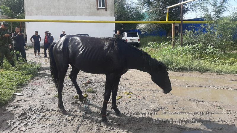 спасение