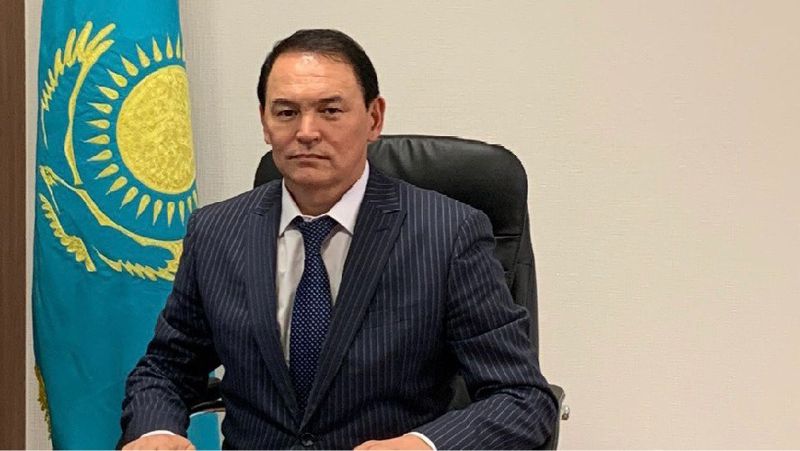 Алматы облысы бойынша Мемлекеттік кірістер департаментінің басшысы